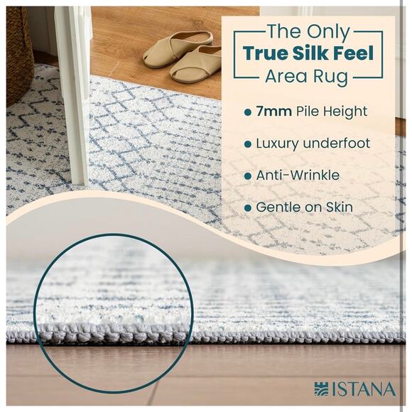 5x7 Rug Blue For Bedroom Living Room Stain Resistant Washable Rug Istana - Picture 5 of 6
